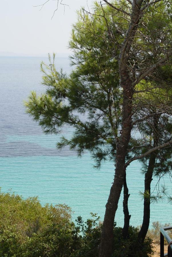 Vila Petra Afytos Exteriér fotografie
