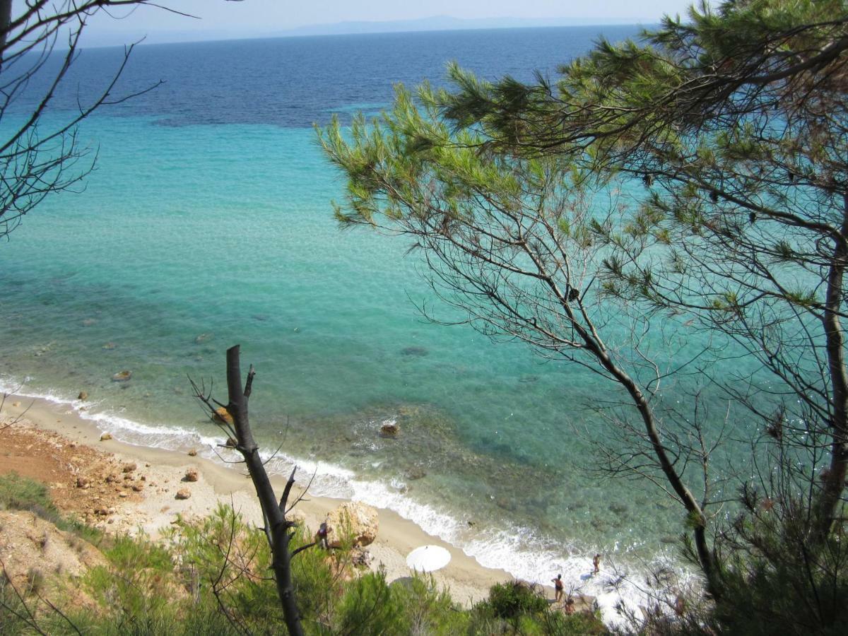 Vila Petra Afytos Exteriér fotografie